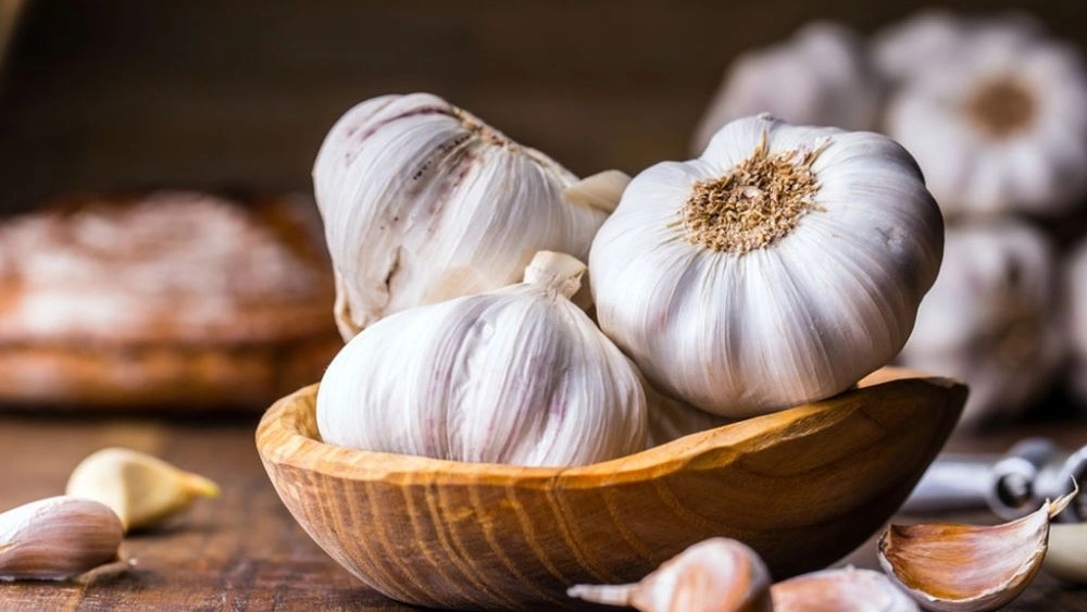 خرید سیر همدان با ارسال فوری، همین امروز سفارش دهید