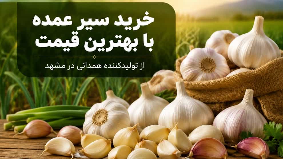 خرید سیر عمده با بهترین قیمت از تولیدکننده همدانی در مشهد