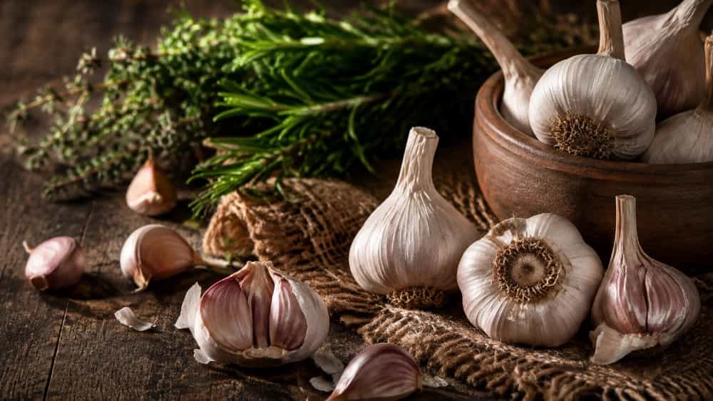 تأمین سیر گرانول سیر سیاه و مشتقات در همدان
